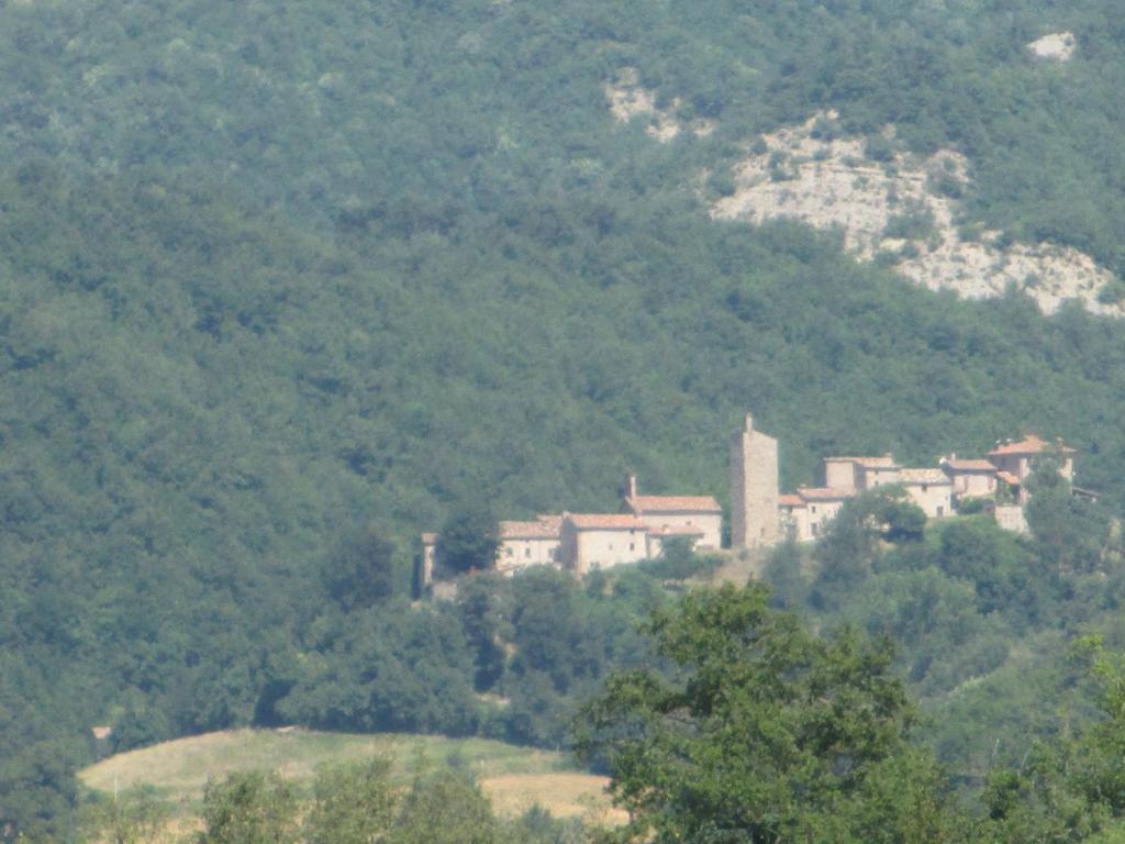 Casa Balducci Bed&Breakfast Mercatello sul Metauro Екстериор снимка