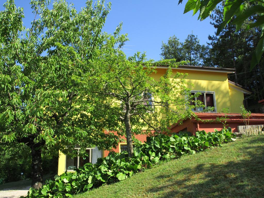 Casa Balducci Bed&Breakfast Mercatello sul Metauro Екстериор снимка