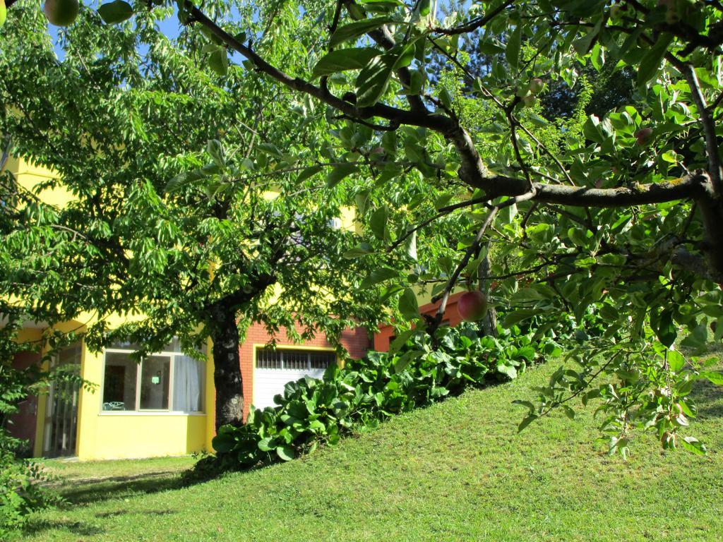 Casa Balducci Bed&Breakfast Mercatello sul Metauro Екстериор снимка